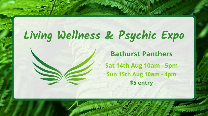 Living Wellness and Psychic Expo